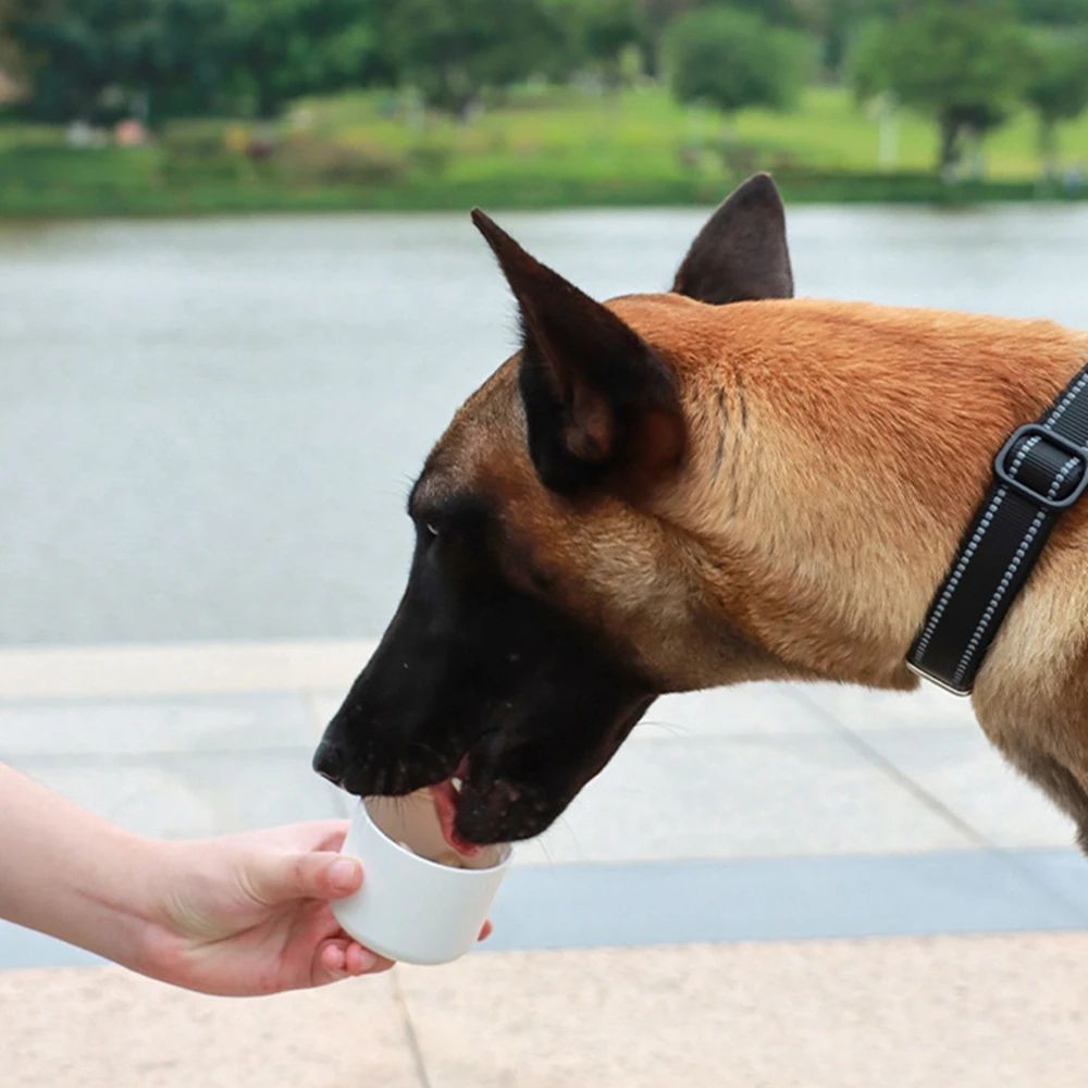 Pet Dog Water Bottle Feeder Bowl Portable Water Food Bottle Pets Outdoor Travel Drinking Dog Bowls Water Bowl For Dogs Cat